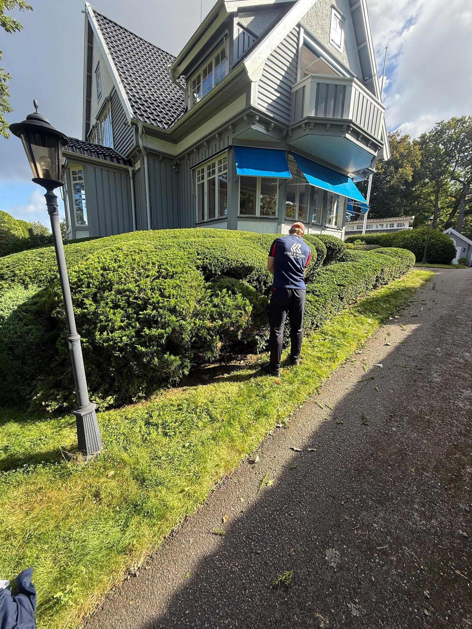 Professionell häckklippning av Fixat & Klart i Väst AB